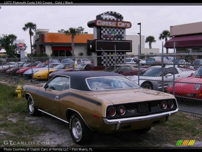 Gold / Black 1972 Plymouth Cuda 340 Coupe