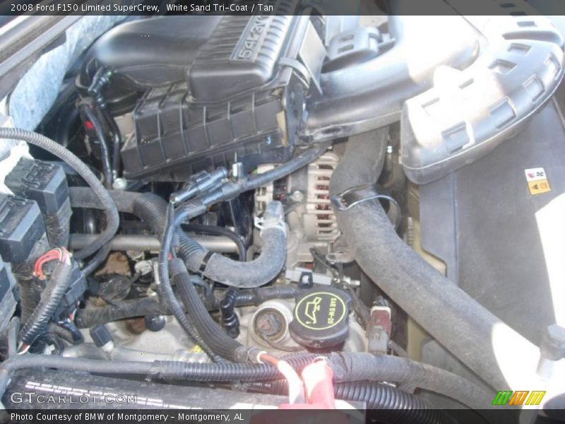  2008 F150 Limited SuperCrew Engine - 5.4 Liter SOHC 24-Valve Triton V8