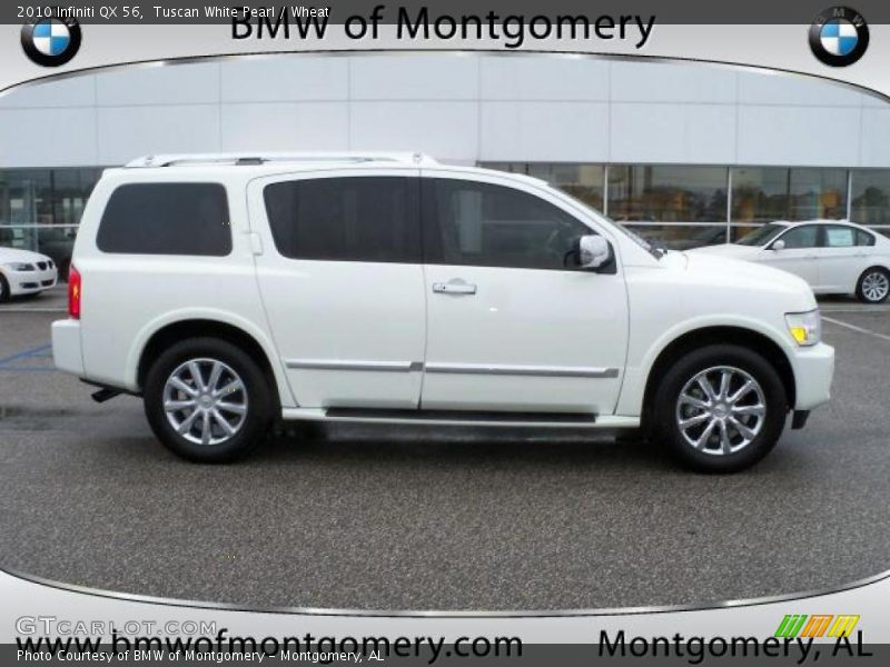 Tuscan White Pearl / Wheat 2010 Infiniti QX 56