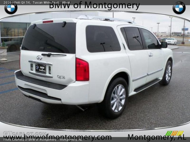 Tuscan White Pearl / Wheat 2010 Infiniti QX 56
