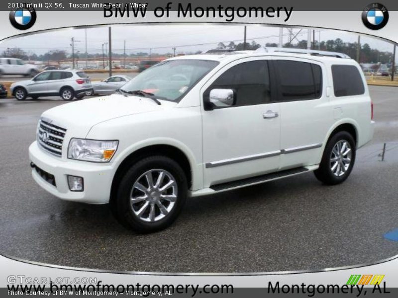Tuscan White Pearl / Wheat 2010 Infiniti QX 56