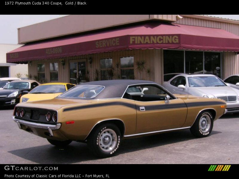 Gold / Black 1972 Plymouth Cuda 340 Coupe