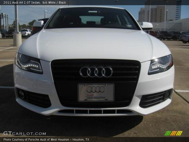 Ibis White / Black 2011 Audi A4 2.0T Sedan