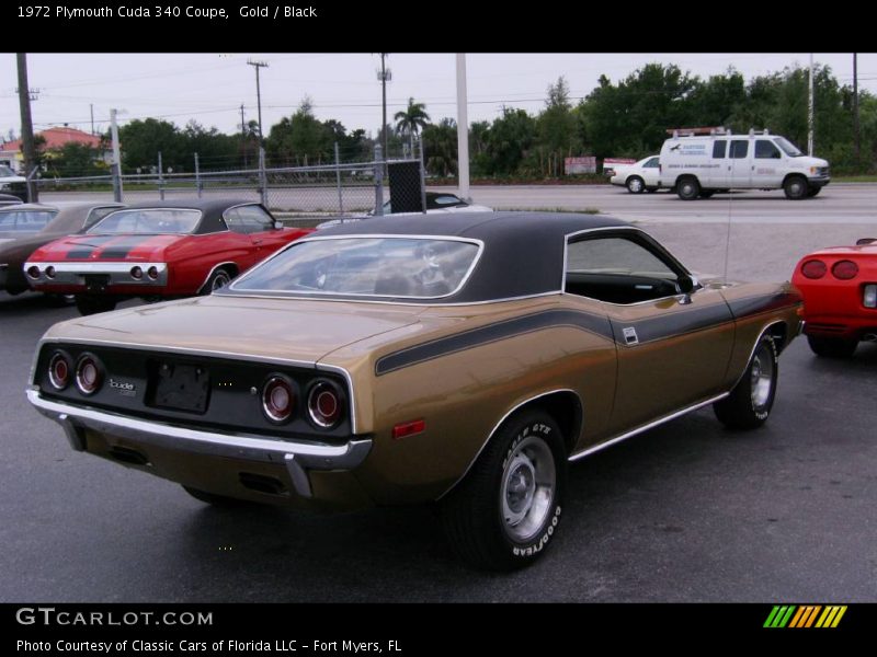 Gold / Black 1972 Plymouth Cuda 340 Coupe