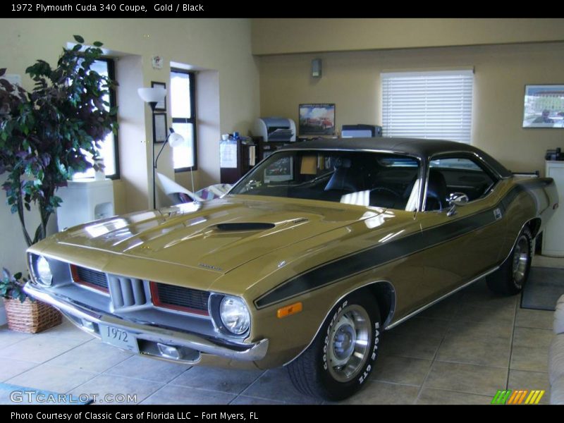 Gold / Black 1972 Plymouth Cuda 340 Coupe