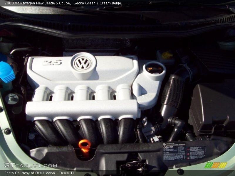 Gecko Green / Cream Beige 2008 Volkswagen New Beetle S Coupe