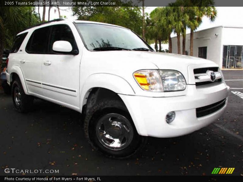 Natural White / Light Charcoal 2005 Toyota Sequoia SR5 4WD