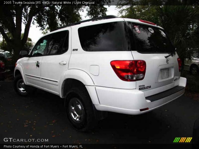 Natural White / Light Charcoal 2005 Toyota Sequoia SR5 4WD
