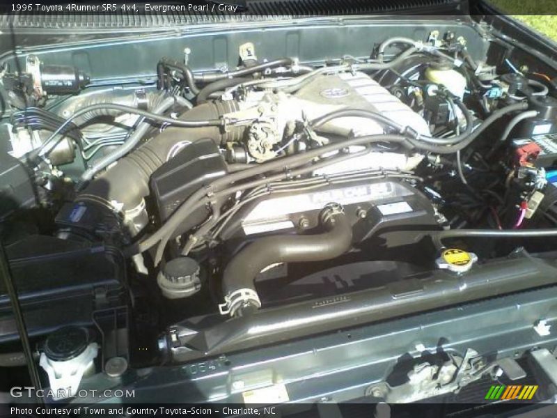 Evergreen Pearl / Gray 1996 Toyota 4Runner SR5 4x4