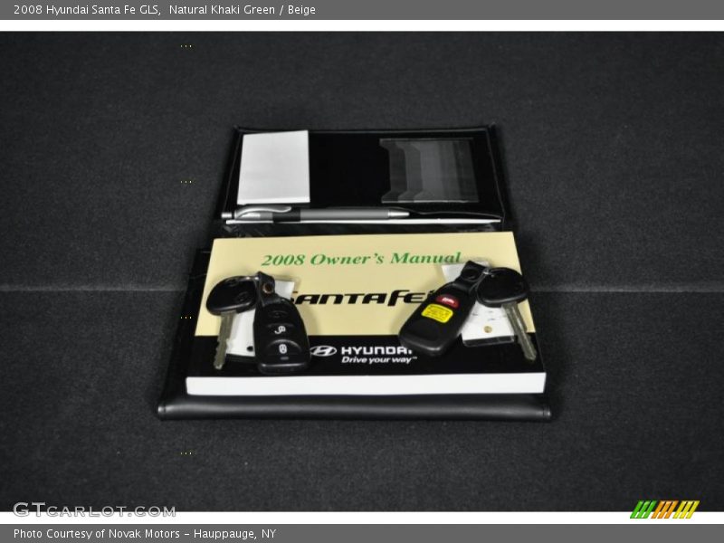Natural Khaki Green / Beige 2008 Hyundai Santa Fe GLS