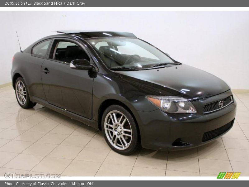 Black Sand Mica / Dark Gray 2005 Scion tC