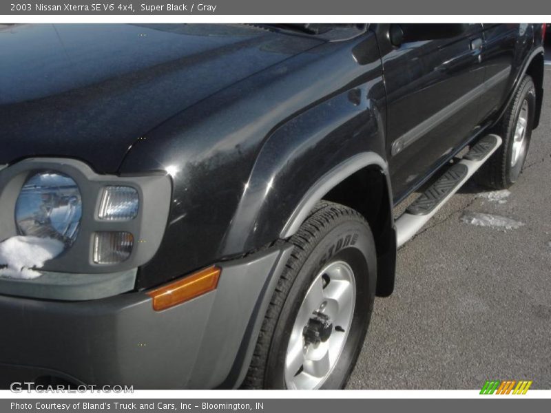 Super Black / Gray 2003 Nissan Xterra SE V6 4x4