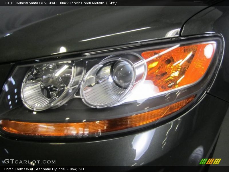 Black Forest Green Metallic / Gray 2010 Hyundai Santa Fe SE 4WD
