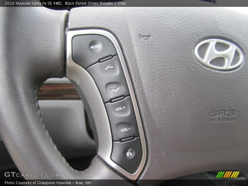 Black Forest Green Metallic / Gray 2010 Hyundai Santa Fe SE 4WD