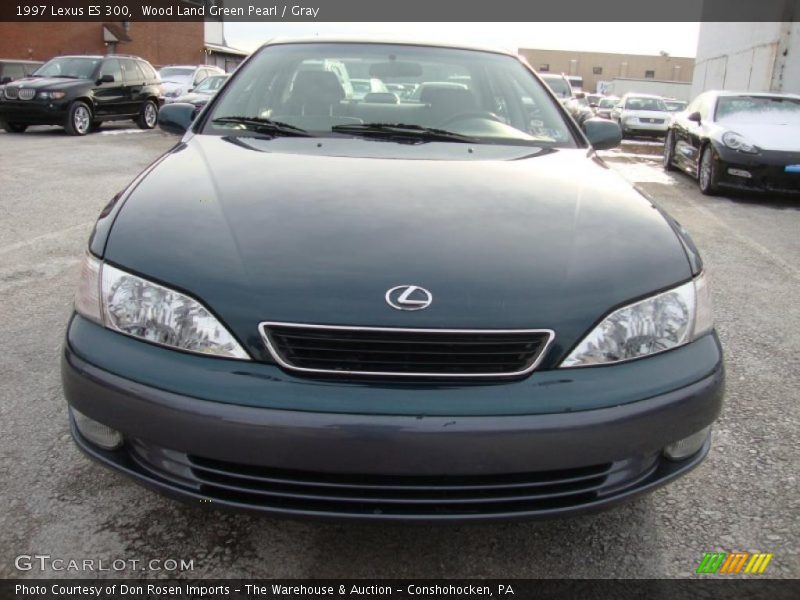 Wood Land Green Pearl / Gray 1997 Lexus ES 300