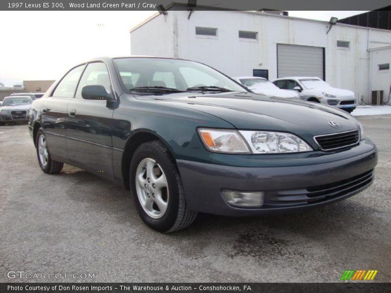 Wood Land Green Pearl / Gray 1997 Lexus ES 300