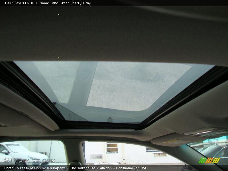Wood Land Green Pearl / Gray 1997 Lexus ES 300
