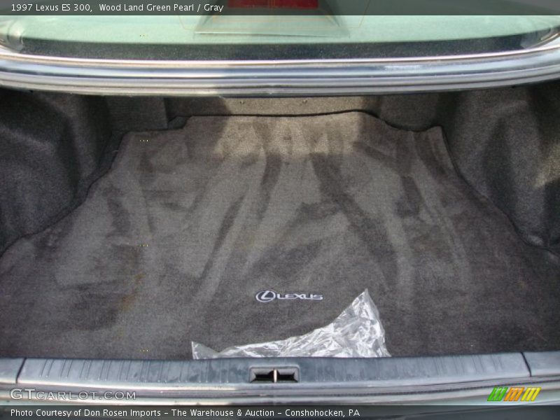  1997 ES 300 Trunk