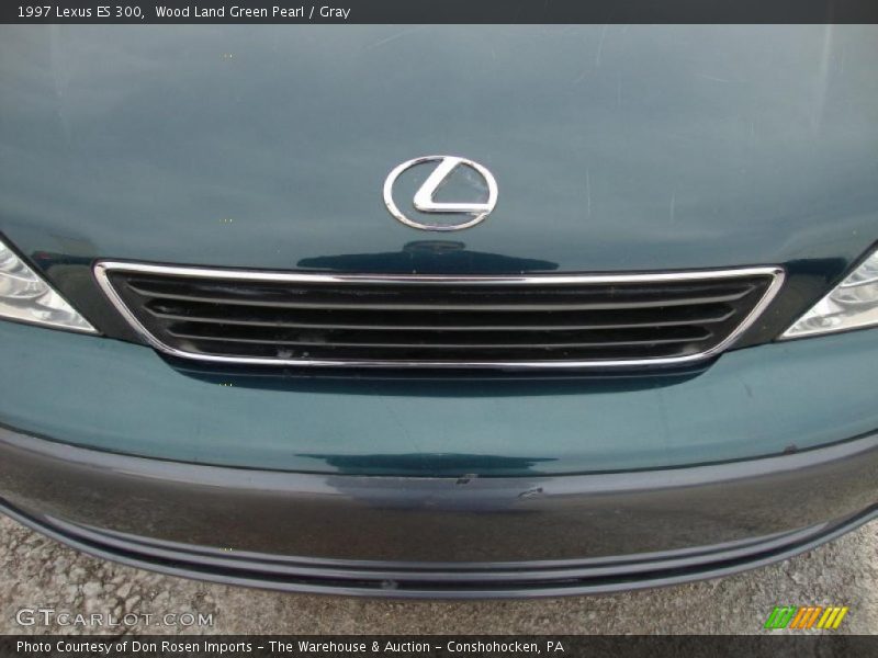Wood Land Green Pearl / Gray 1997 Lexus ES 300
