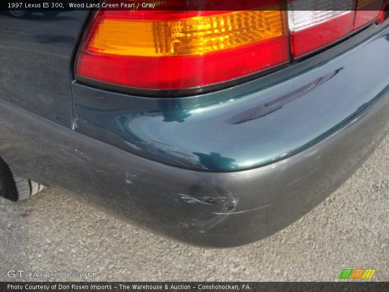 Wood Land Green Pearl / Gray 1997 Lexus ES 300