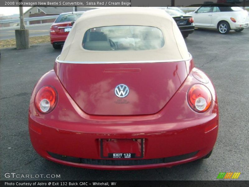 Salsa Red / Cream Beige 2008 Volkswagen New Beetle S Convertible