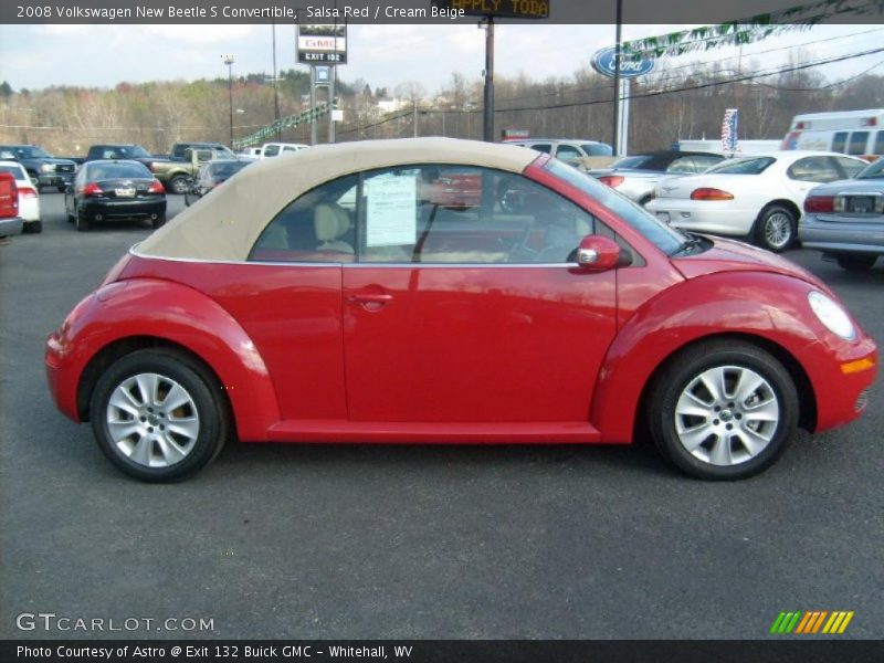 Salsa Red / Cream Beige 2008 Volkswagen New Beetle S Convertible