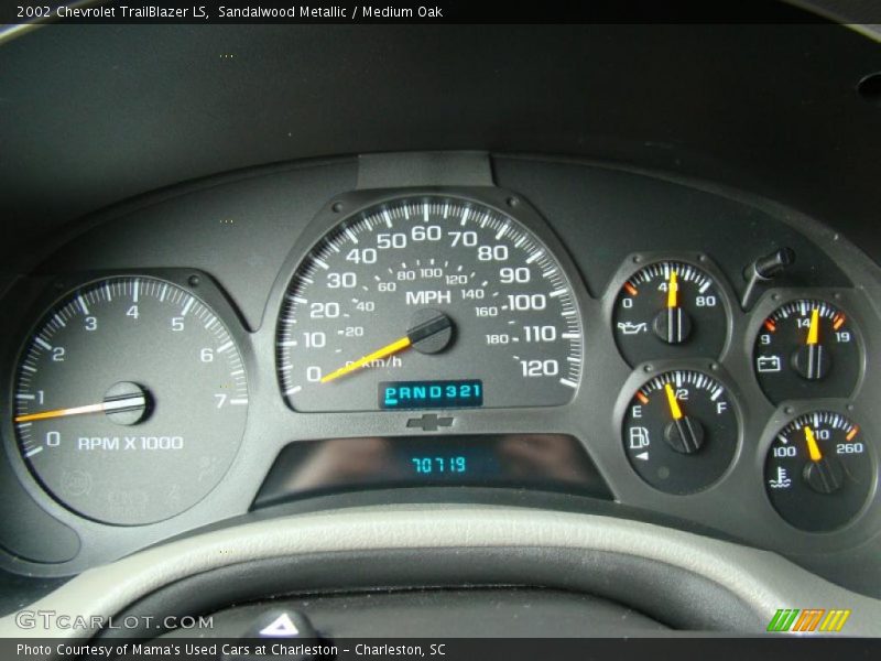 Sandalwood Metallic / Medium Oak 2002 Chevrolet TrailBlazer LS