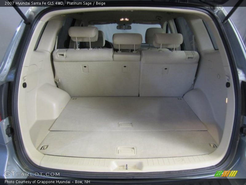 Platinum Sage / Beige 2007 Hyundai Santa Fe GLS 4WD