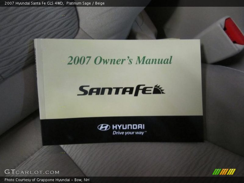 Platinum Sage / Beige 2007 Hyundai Santa Fe GLS 4WD
