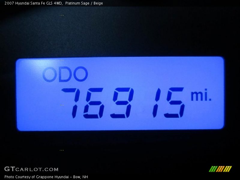Platinum Sage / Beige 2007 Hyundai Santa Fe GLS 4WD