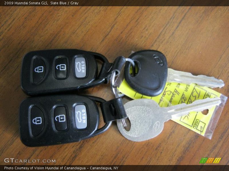 Slate Blue / Gray 2009 Hyundai Sonata GLS