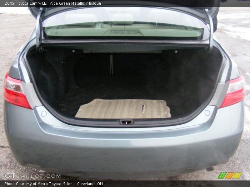 Aloe Green Metallic / Bisque 2009 Toyota Camry LE