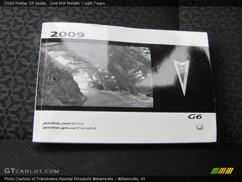 Gold Mist Metallic / Light Taupe 2009 Pontiac G6 Sedan