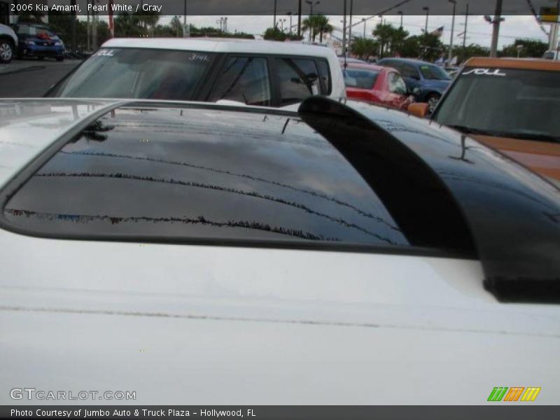 Pearl White / Gray 2006 Kia Amanti