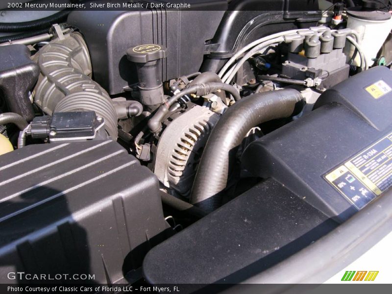 Silver Birch Metallic / Dark Graphite 2002 Mercury Mountaineer