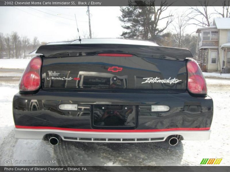  2002 Monte Carlo Intimidator SS Logo