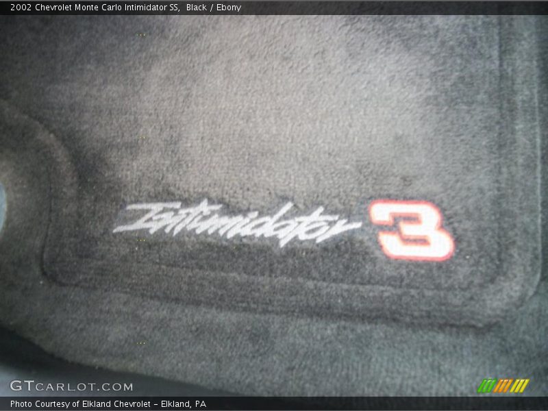  2002 Monte Carlo Intimidator SS Logo