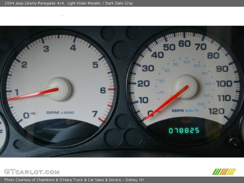 Light Khaki Metallic / Dark Slate Gray 2004 Jeep Liberty Renegade 4x4