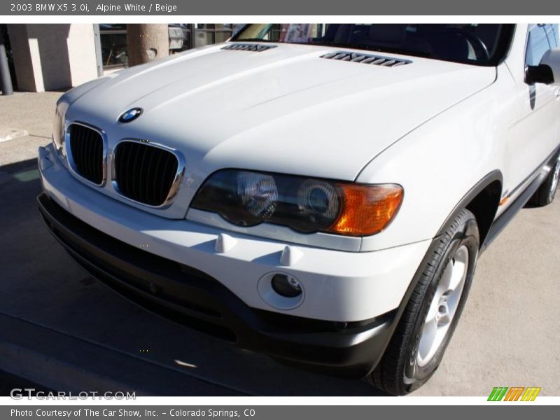 Alpine White / Beige 2003 BMW X5 3.0i