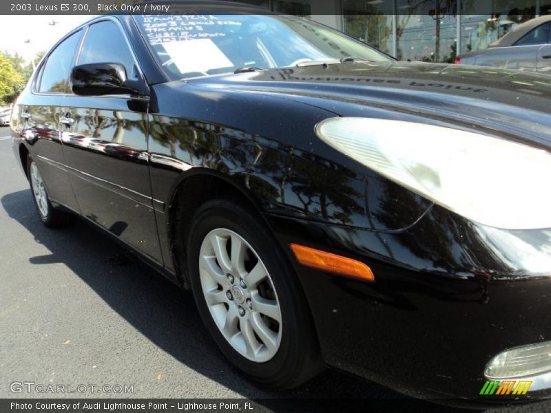 Black Onyx / Ivory 2003 Lexus ES 300
