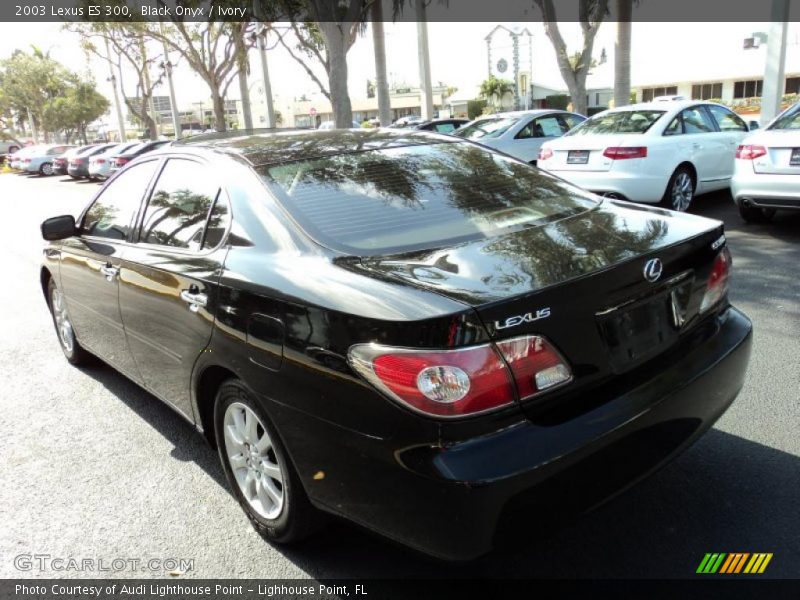Black Onyx / Ivory 2003 Lexus ES 300