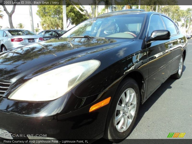 Black Onyx / Ivory 2003 Lexus ES 300