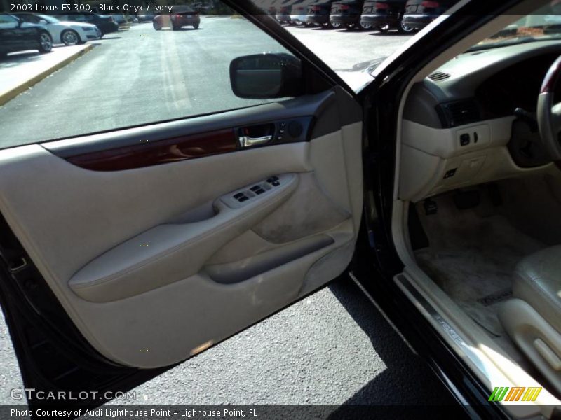 Black Onyx / Ivory 2003 Lexus ES 300