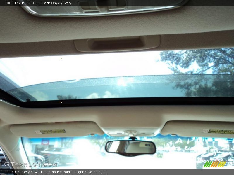 Black Onyx / Ivory 2003 Lexus ES 300