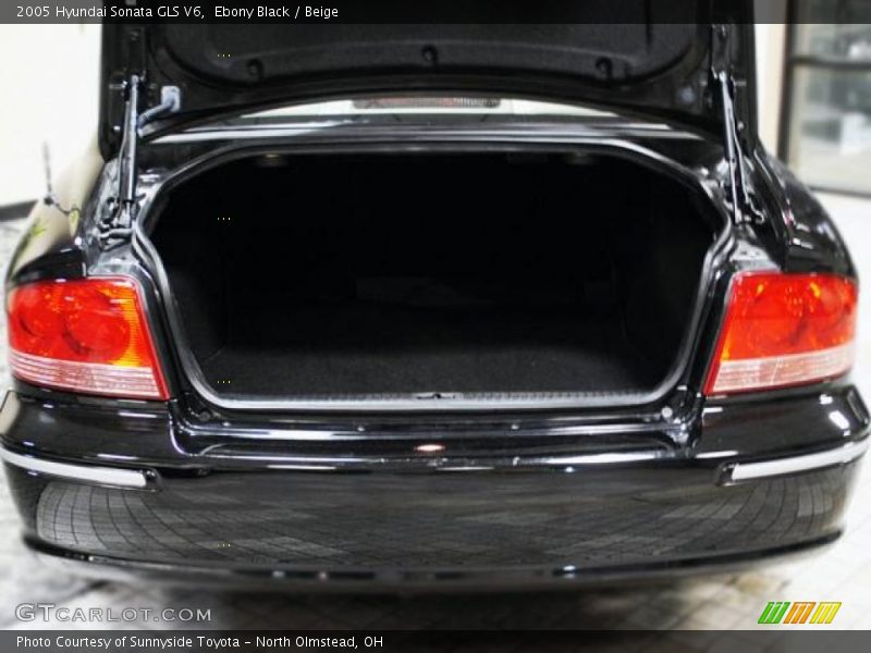 Ebony Black / Beige 2005 Hyundai Sonata GLS V6