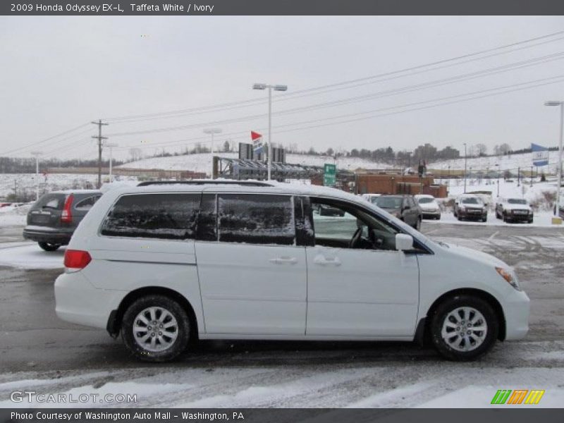  2009 Odyssey EX-L Taffeta White
