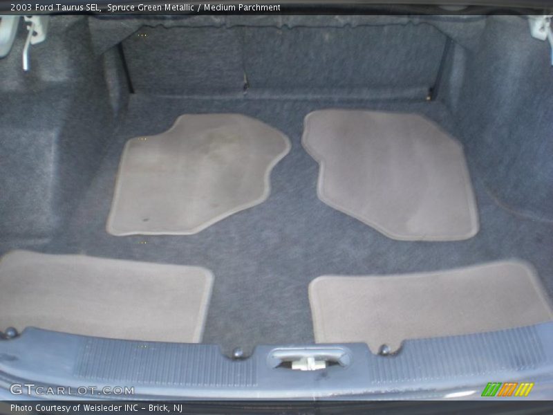 Spruce Green Metallic / Medium Parchment 2003 Ford Taurus SEL