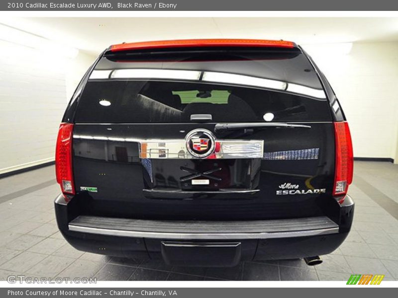 Black Raven / Ebony 2010 Cadillac Escalade Luxury AWD
