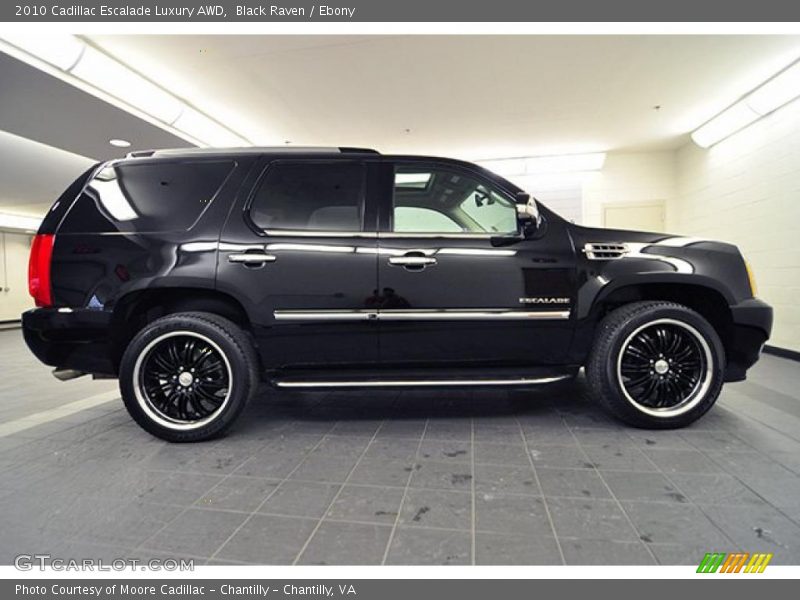 Black Raven / Ebony 2010 Cadillac Escalade Luxury AWD