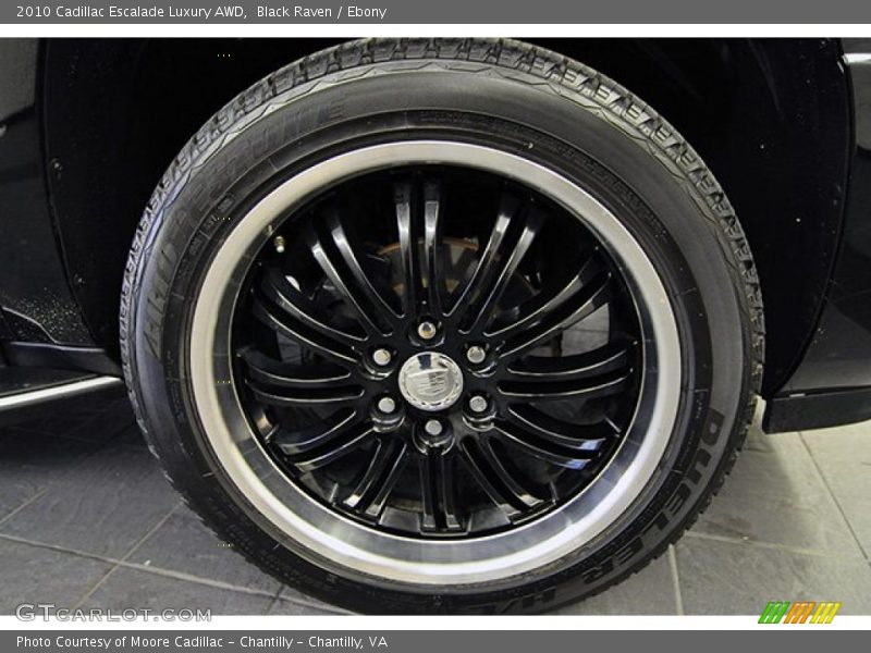 Black Raven / Ebony 2010 Cadillac Escalade Luxury AWD